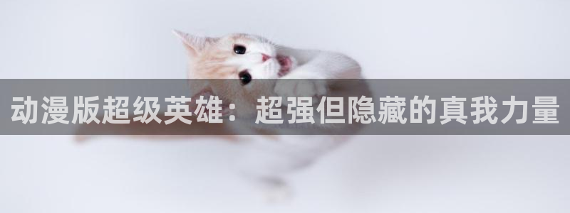 风车动漫下载：动漫版超级英雄：超强但隐藏的真我力量
