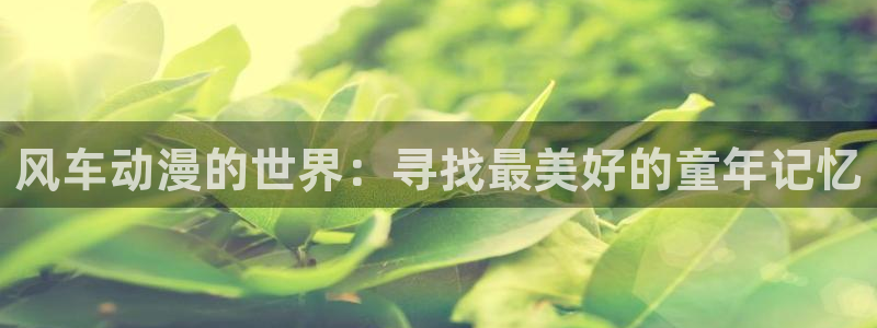 风车动漫官网在线入口：风车动漫的世界：寻找最美好的童年记忆