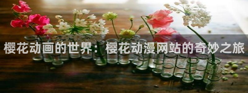 age樱花动漫：樱花动画的世界：樱花动漫网站的奇妙之旅