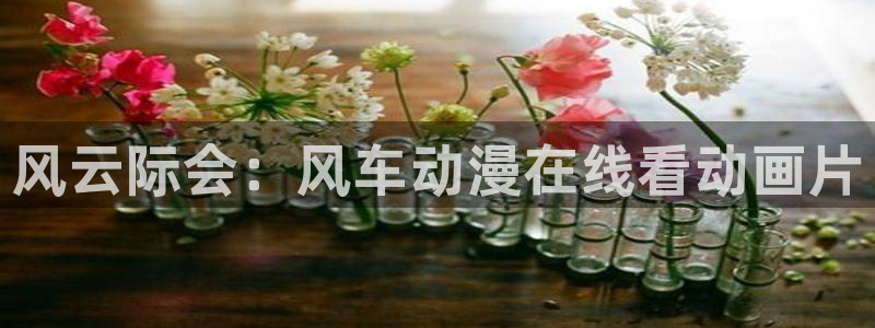 拷贝漫画 copymanager.ory网站：风云际会：风车动漫在线看动画片