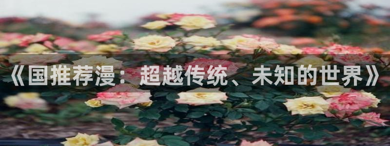 backstage韩漫免费观看：《国推荐漫：超越传统、未知的世界》