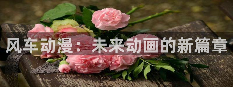 风车动漫网下载：风车动漫：未来动画的新篇章