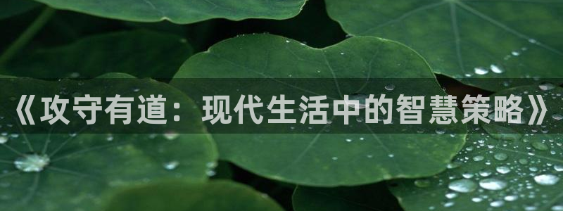 colamanage漫画官网：《攻守有道：现代生活中的智慧策略》