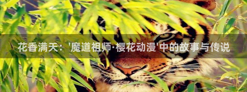 在线动画动漫下载风车动漫：花香满天：\'魔道祖师·樱花动漫\'中的故事与传说