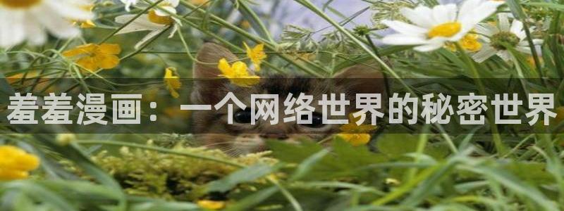 风车动漫官网樱花动漫：羞羞漫画：一个网络世界的秘密世界