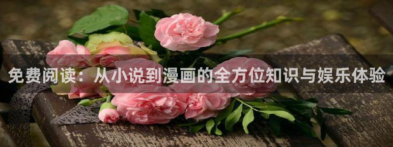 风车动漫下载动漫全免费：免费阅读：从小说到漫画的全方位知识与娱乐体验