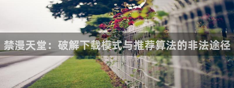 风车动漫omofun：禁漫天堂：破解下载模式与推荐算法的非法途径