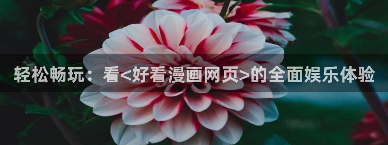 age专注动漫的门户网站：轻松畅玩：看<好看漫画网页>的全面娱乐体验