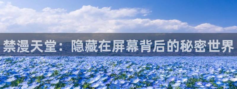 风车动漫正版网：禁漫天堂：隐藏在屏幕背后的秘密世界