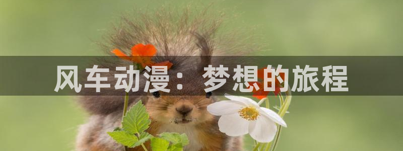colomanage漫画官网：风车动漫：梦想的旅程