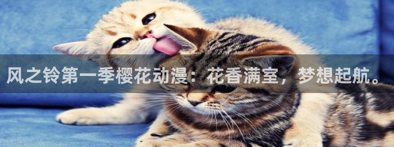风车动漫官网在线入口：风之铃第一季樱花动漫：花香满室，梦想起航。