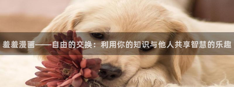 风车动漫网官网入口：羞羞漫画——自由的交换：利用你的知识与他人共享智慧的乐趣