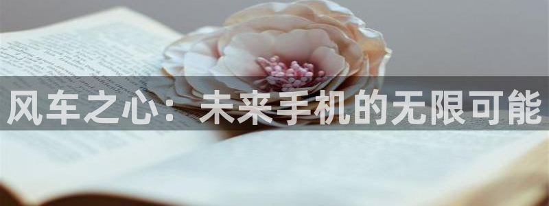 风车动漫正版网：风车之心：未来手机的无限可能