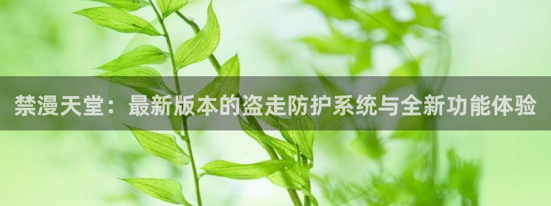 age专注动漫的门户网站：禁漫天堂：最新版本的盗走防护系统与全新功能体验