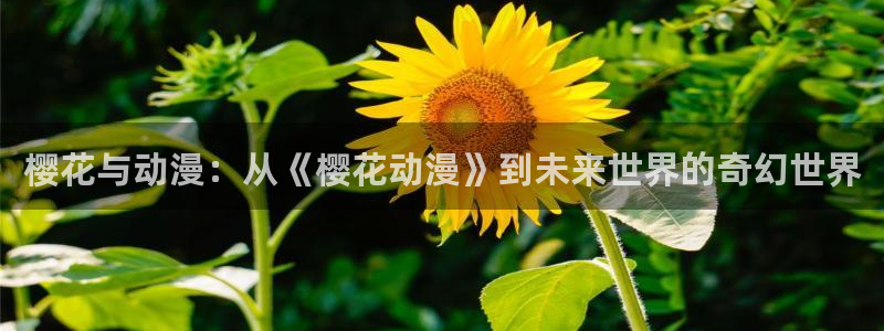 age樱花动漫：樱花与动漫：从《樱花动漫》到未来世界的奇幻世界