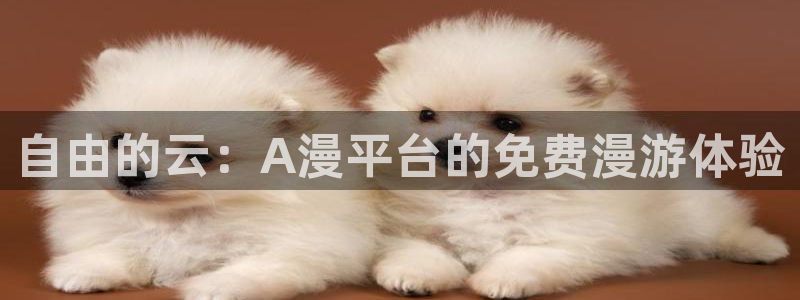 风车动漫官网入口老版本：自由的云：A漫平台的免费漫游体验