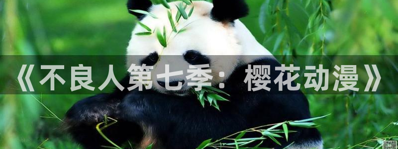 风车动漫omofun：《不良人第七季：樱花动漫》