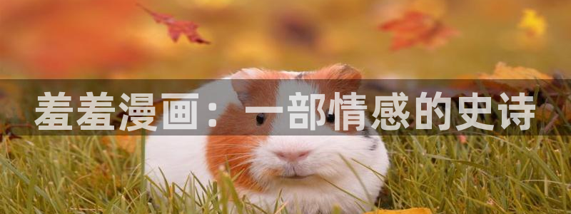 age专注动漫的门户网站：羞羞漫画：一部情感的史诗