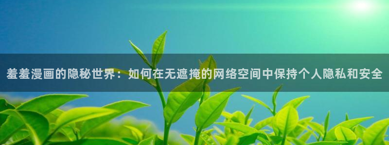 风车动漫网官网入口：羞羞漫画的隐秘世界：如何在无遮掩的网络空间中保持个人隐私和安全