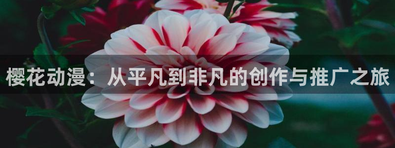 风车动漫官网在线入口：樱花动漫：从平凡到非凡的创作与推广之旅