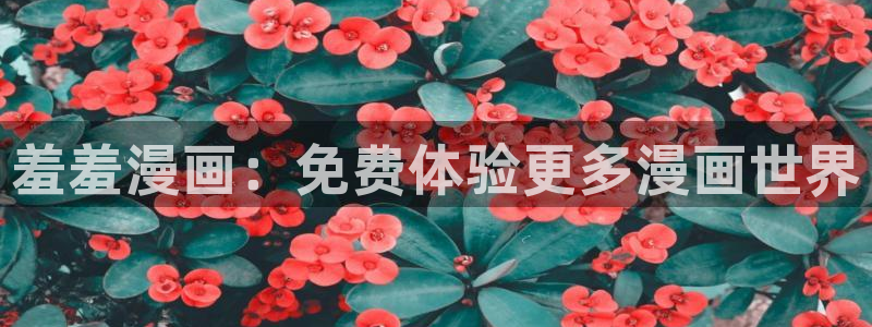 kakaopage韩漫官网：羞羞漫画：免费体验更多漫画世界